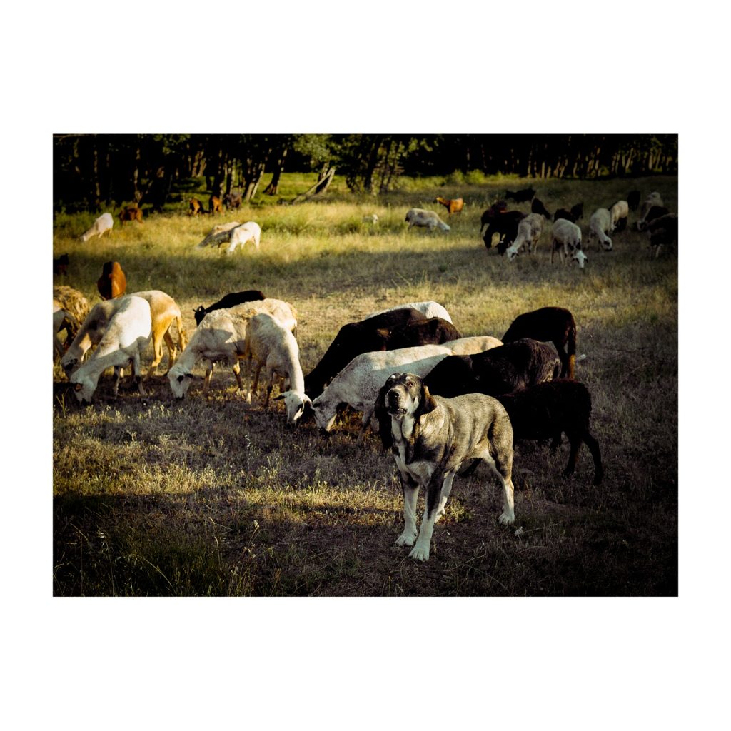 IMG 20240107 WA0015